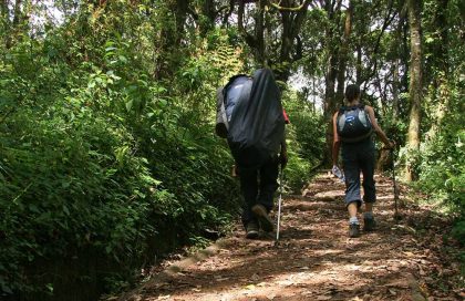 14609728 - mt kilimanjaro climbing expedition in tanzania, africa