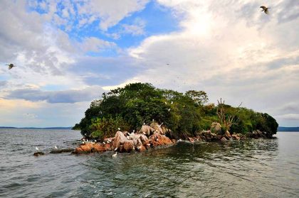 Rubondo Island 1