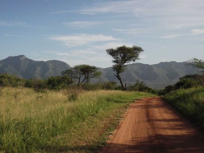 mkomazi np side