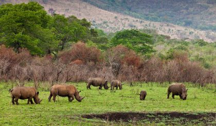 ngorongoro (6)