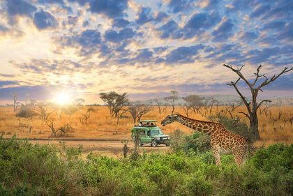 serengeti 3a